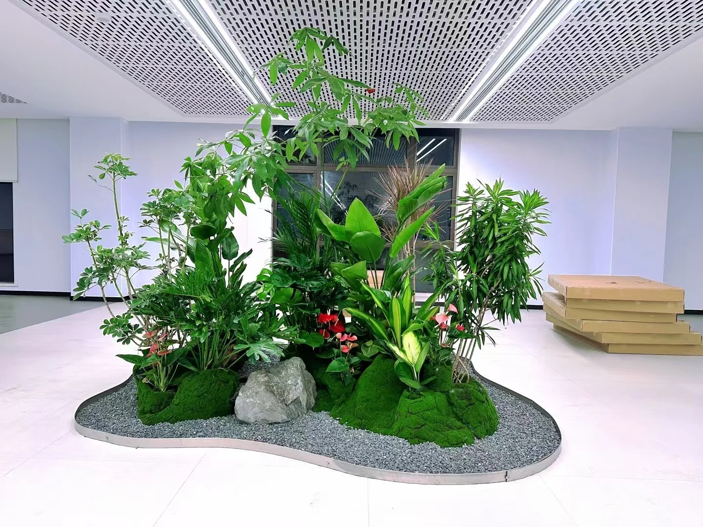 了解宁波江北盆景租赁价格,看这篇!