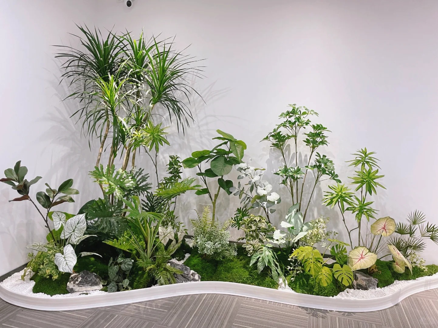 了解宁波江北盆景租赁价格,看这篇!